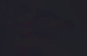 Výtvarné umenie - Detail